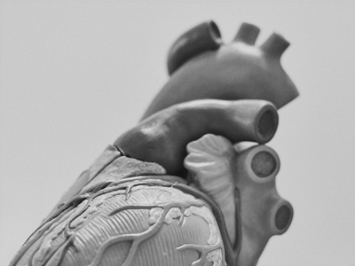 herz zehn kardiologie innere medizin 1100 wien herzklappenfehler 2